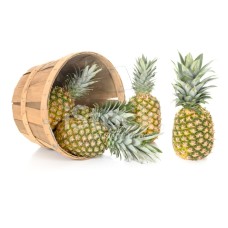 Pineapple