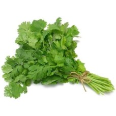 Coriander bunch