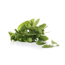 Mint (Podina)