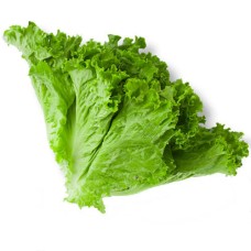 Salad Patta (Lettuce)